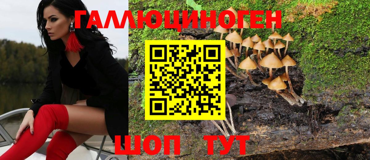 Галлюциногенные грибы мицелий Сухой Лог
